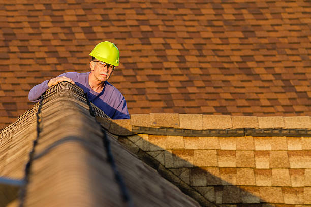 Best Storm Damage Roof Repair  in Frankenmuth, MI